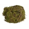 Mech zielony - green moss 7 kg - BRAZYLIA