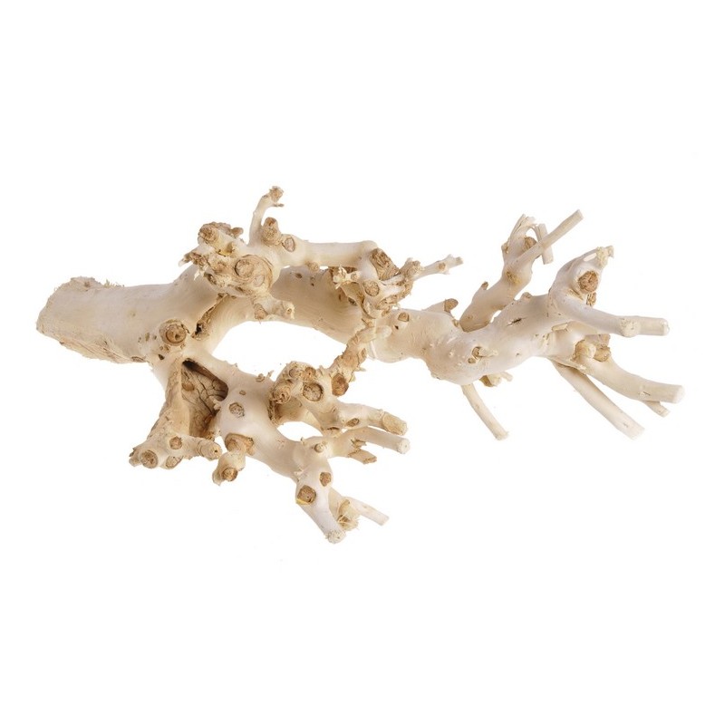 Korzeń morwy W, 60cm NATURALNY