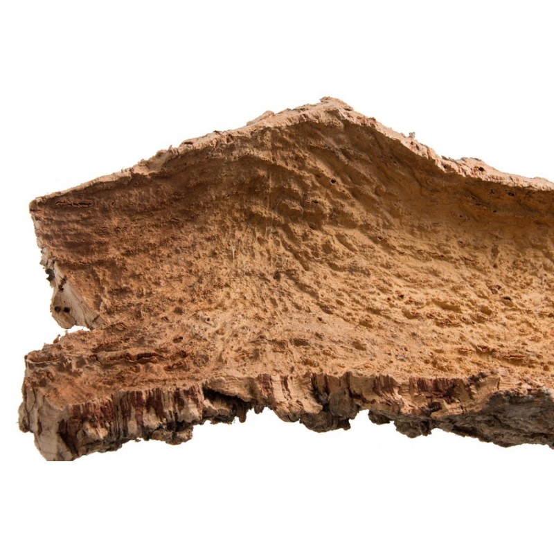 Korek w płatach virgin raw cork..20-100cmL