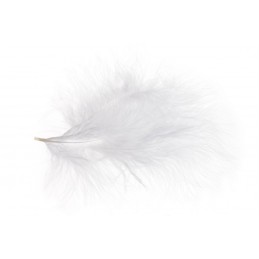 Pierze 5szt/paczka..12-15cm