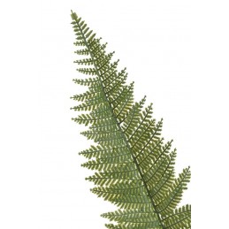 .Liść paproci 95cm - sztuczna roślina