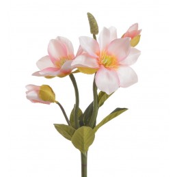 Magnolia x4 gałązka 31cm