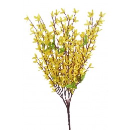 Forsycja x7..36cm / złoty deszcz