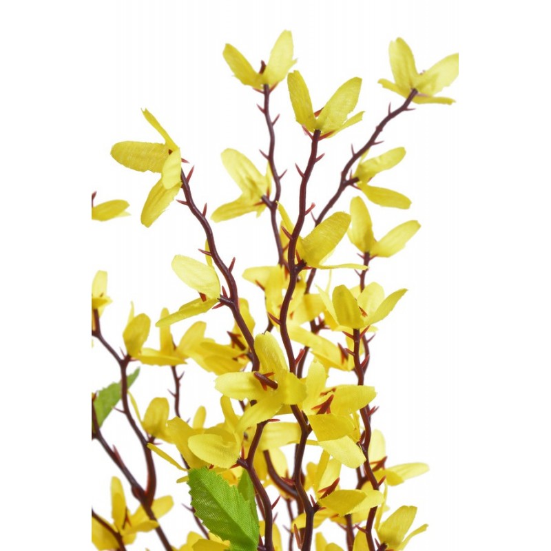 Forsycja x7..36cm / złoty deszcz