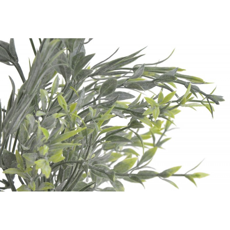 Ruscus..36cm - sztuczna roślina