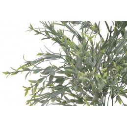 Ruscus..36cm - sztuczna roślina