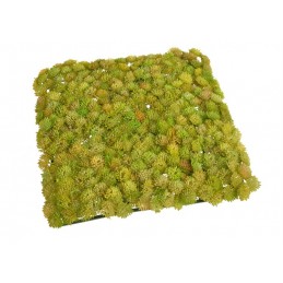 Mata dekoracyjna 25 x 25 cm