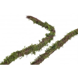 Sznurek faszyna +mech...205cm