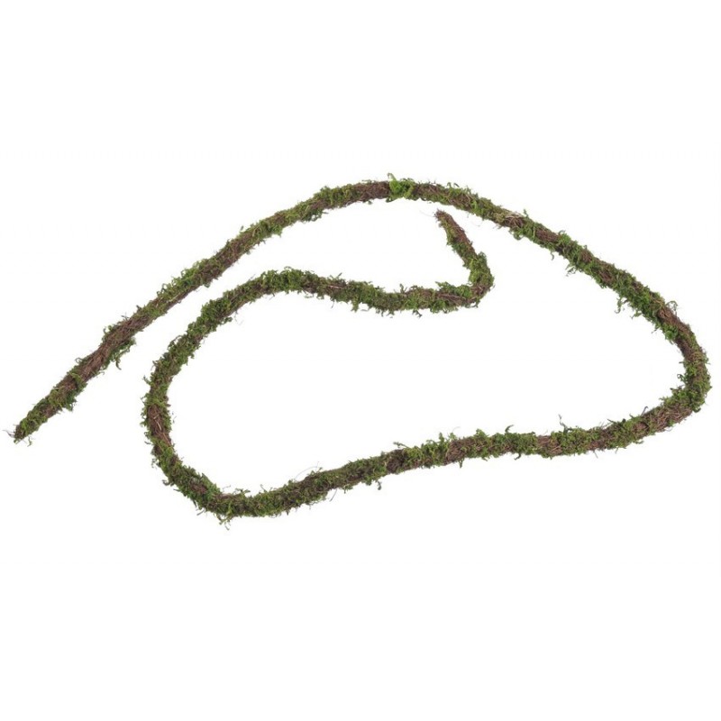 Sznurek faszyna +mech...205cm