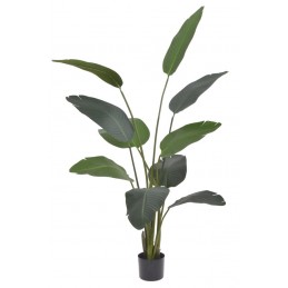 Bananowiec 150cm - sztuczna roślina