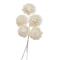 Shola belly 6 cm+pik, 5szt-pacz..6cm - susz