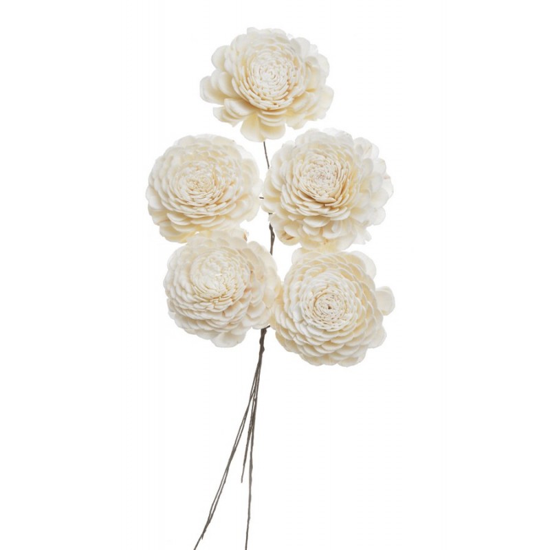 Shola belly 6 cm+pik, 5szt-pacz..6cm - susz