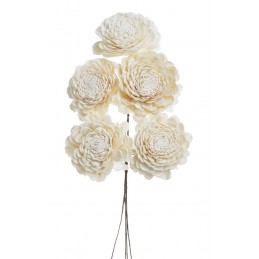 Shola belly 8 cm+pik, 5szt-pacz..6cm - susz