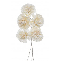 Shola marigold 6 cm+pik, 5szt-pacz..6cm - susz