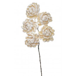 Shola ninza flower 6 cm+pik, 5szt-pacz..6cm - susz