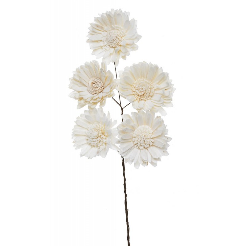 Shola sunflower 6 cm+pik, 5szt-pacz..6cm - susz