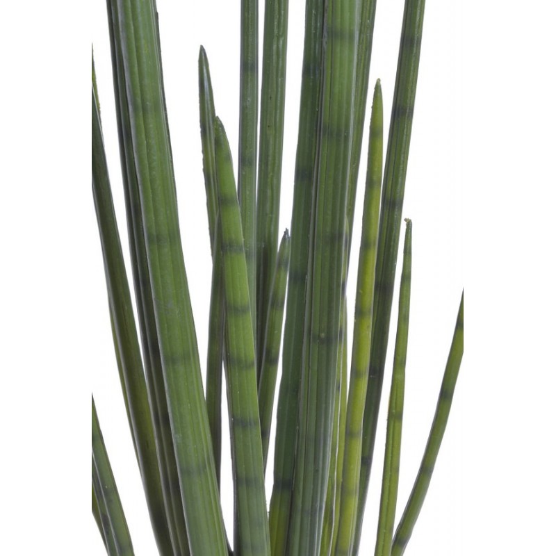 Kaktus../ Sanseweria...120cm - sztuczna roślina