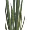 Kaktus../ Sanseweria...120cm - sztuczna roślina