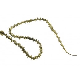 Knotty willow garland_280cm