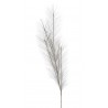 Trawa pampasowa..54cm - art. dekoracyjny