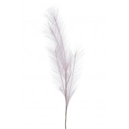 Trawa pampasowa..54cm - art. dekoracyjny