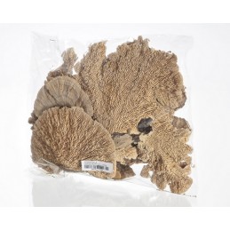 Sponge Mushroom mix– 250g.