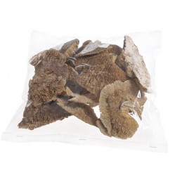 Sponge Mushroom mix– 250g.