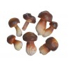 Grzyby sztuczne 5,5 cm, 9szt-paczka