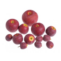 Jabłuszka mix, 2-5 cm,..12szt/paczka