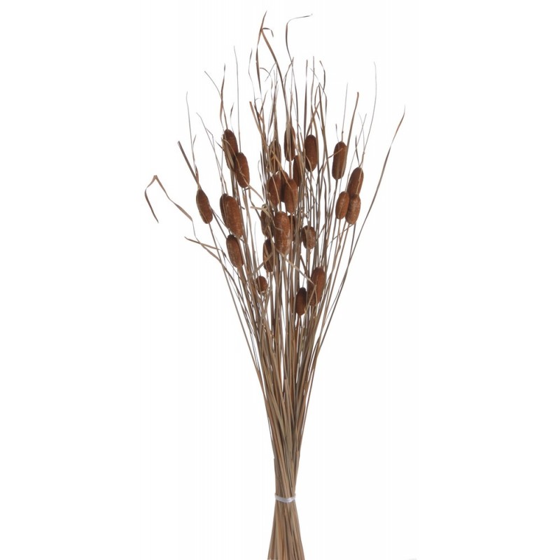 Typa w-leaves ..85cm