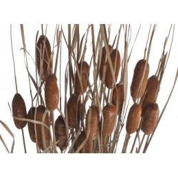 Typa w-leaves ..85cm