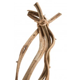 Liana wiązka 1,25mL...4sztuki/paczk