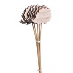 Jeże piki naturalny 6szt..8-30cm