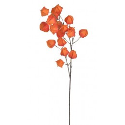 Miechunka..100cm - sztuczna roślina