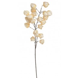 Miechunka..100cm - sztuczna roślina