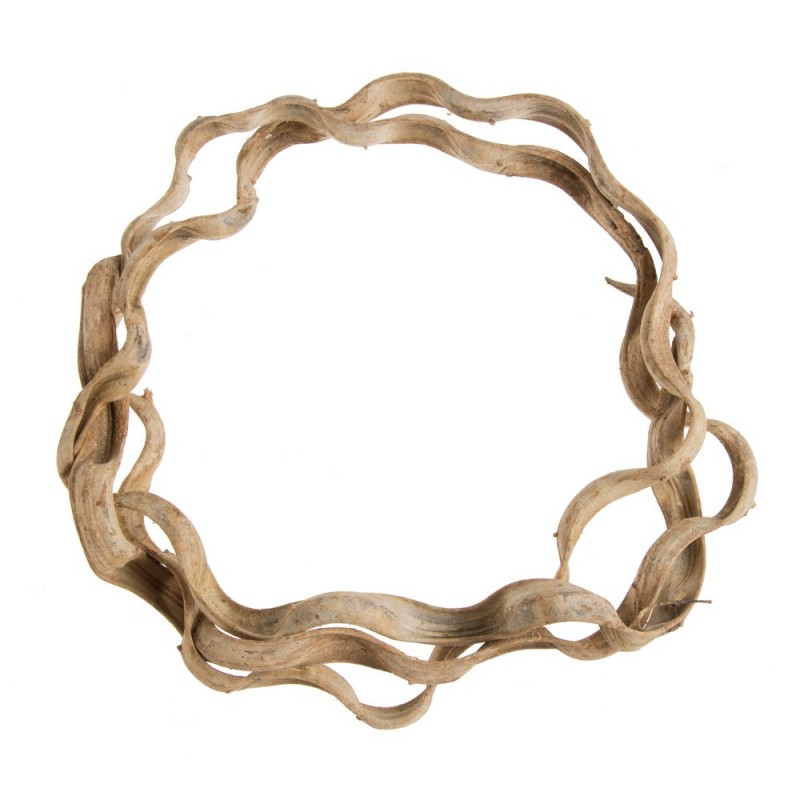 Liana rolowana 1,5m NAT - susz..ok. 1,5m