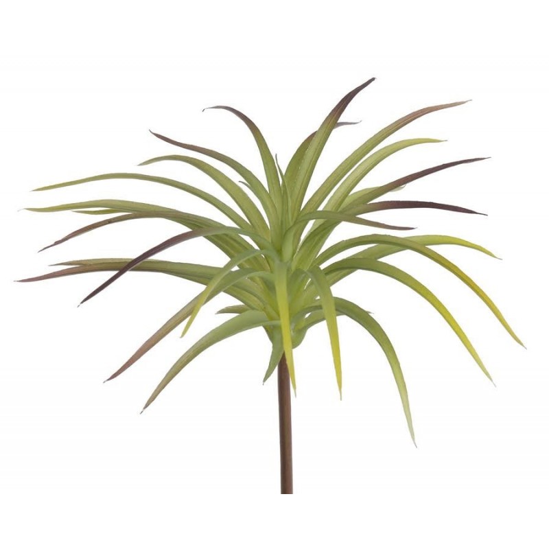 Oplątwa 16cm - sztuczna roślina