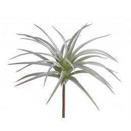 Oplątwa 16cm - sztuczna roślina