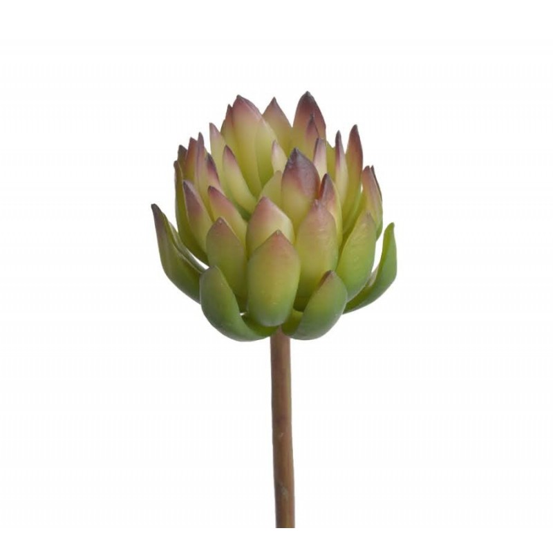 Sedum..14cm - sztuczna roślina