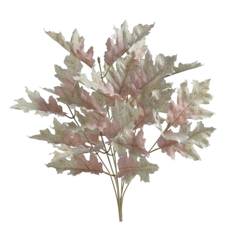 Galazka debu x7 -sztucz.rosl.