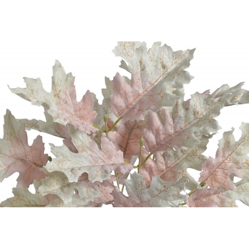 Galazka debu x7 -sztucz.rosl.