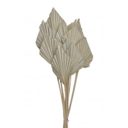 Palm Spear Mini (10szt-pacz)..30-35cm