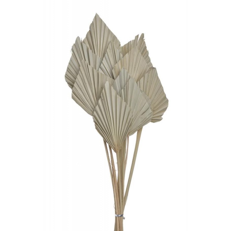 Palm Spear Mini (10szt-pacz)..30-35cm