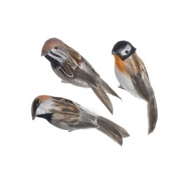 Ptak na klipie, 6szt-paczka..6cmL x 3,5cmW x 12cmH