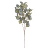 Eukaliptus populus 81cm - sztuczna roślina