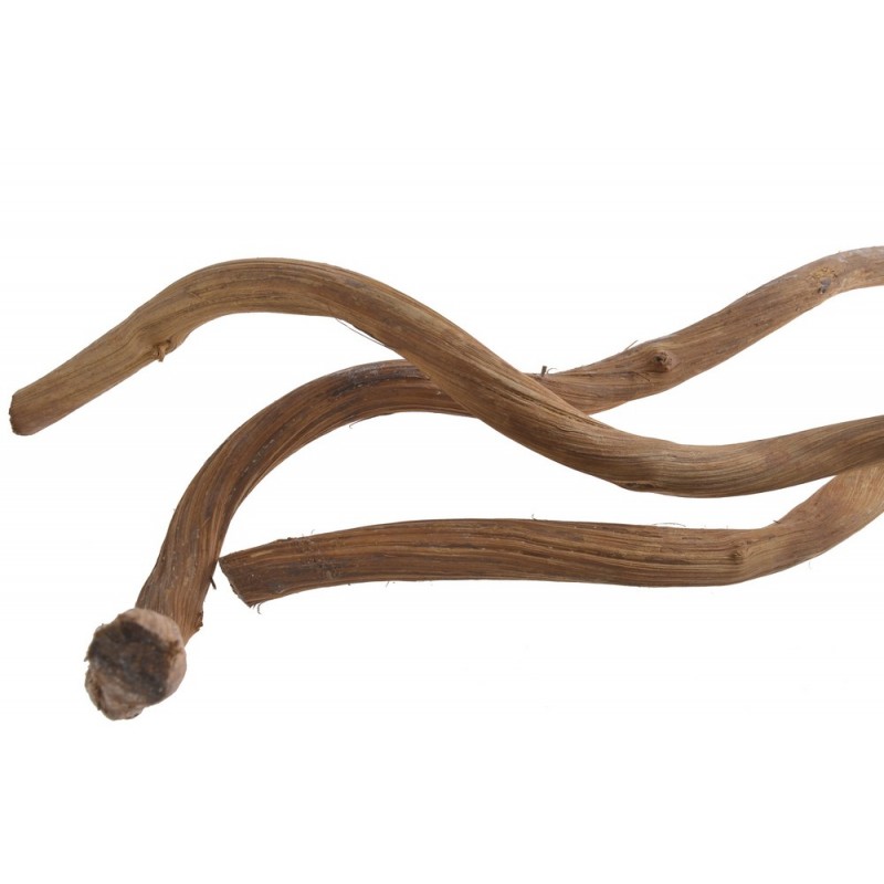 Dula log 100cm 1,5-2,5cm -susz