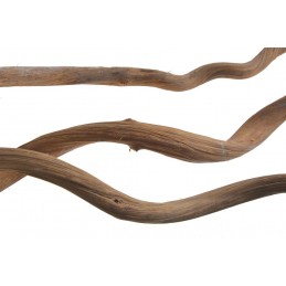 Dula log 100cm 1,5-2,5cm -susz