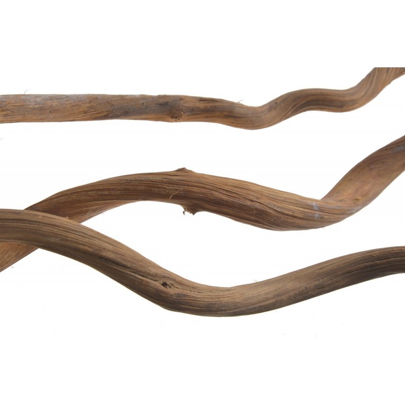 Dula log 100cm 1,5-2,5cm -susz