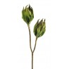 Kaktusiak..75cm - sztuczna roślina