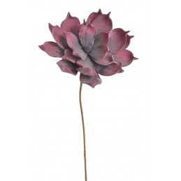 Piankowiec x1 65cm - sztuczna roślina